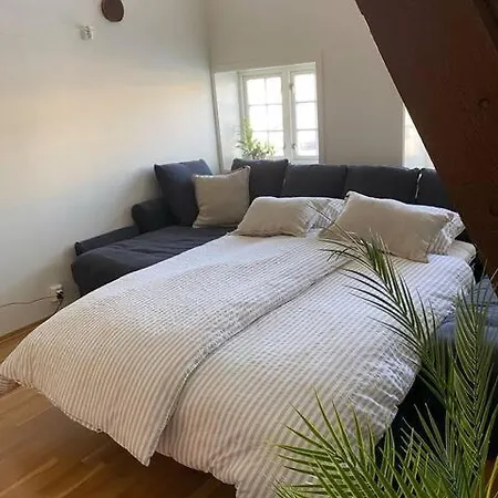 Stilig Bryggeleilighet I Sentrum * Trondheim